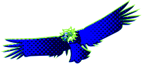 Hito