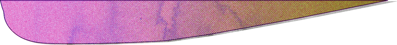 Hito