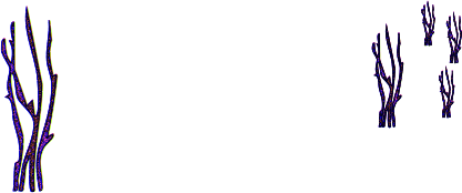Hito